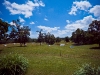 newman_farms-1-lg