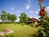 newman_farms-11-lg