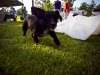 newman_farms-16-lg