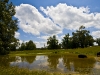 newman_farms-2-lg