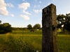 newman_farms-23-lg