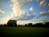 newman_farms-25-lg