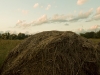 newman_farms-26-lg