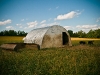 newman_farms-3-lg