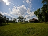 newman_farms-5-lg