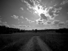 newman_farms-8-lg