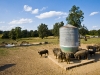 newman_farms-9-lg